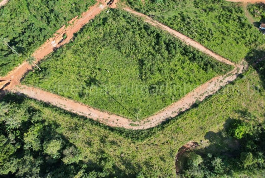 WhatsApp Image 2023-05-20 at 11.11.11