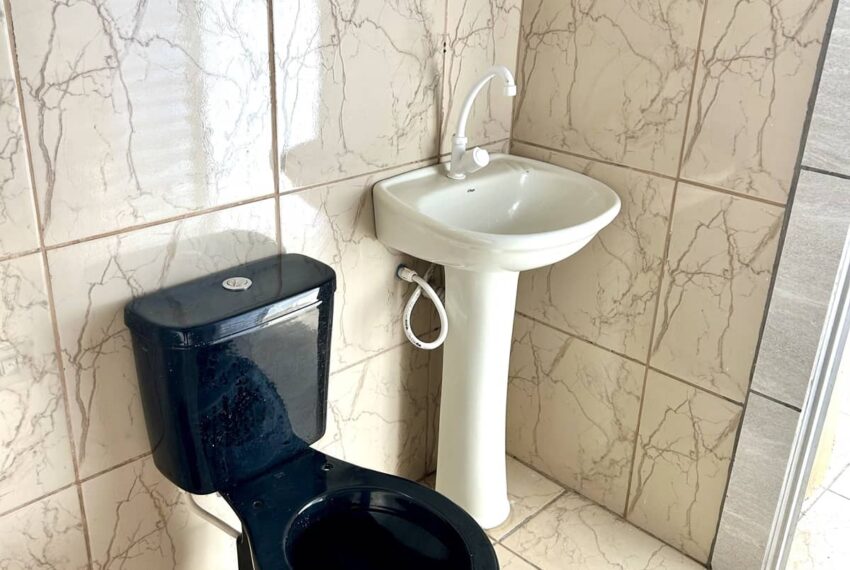 IA-R883foto10